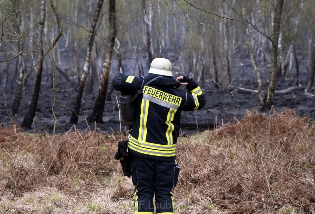 Waldbrand Wahner Heide Troisdorf Eisenweg P097.JPG - Miklos Laubert